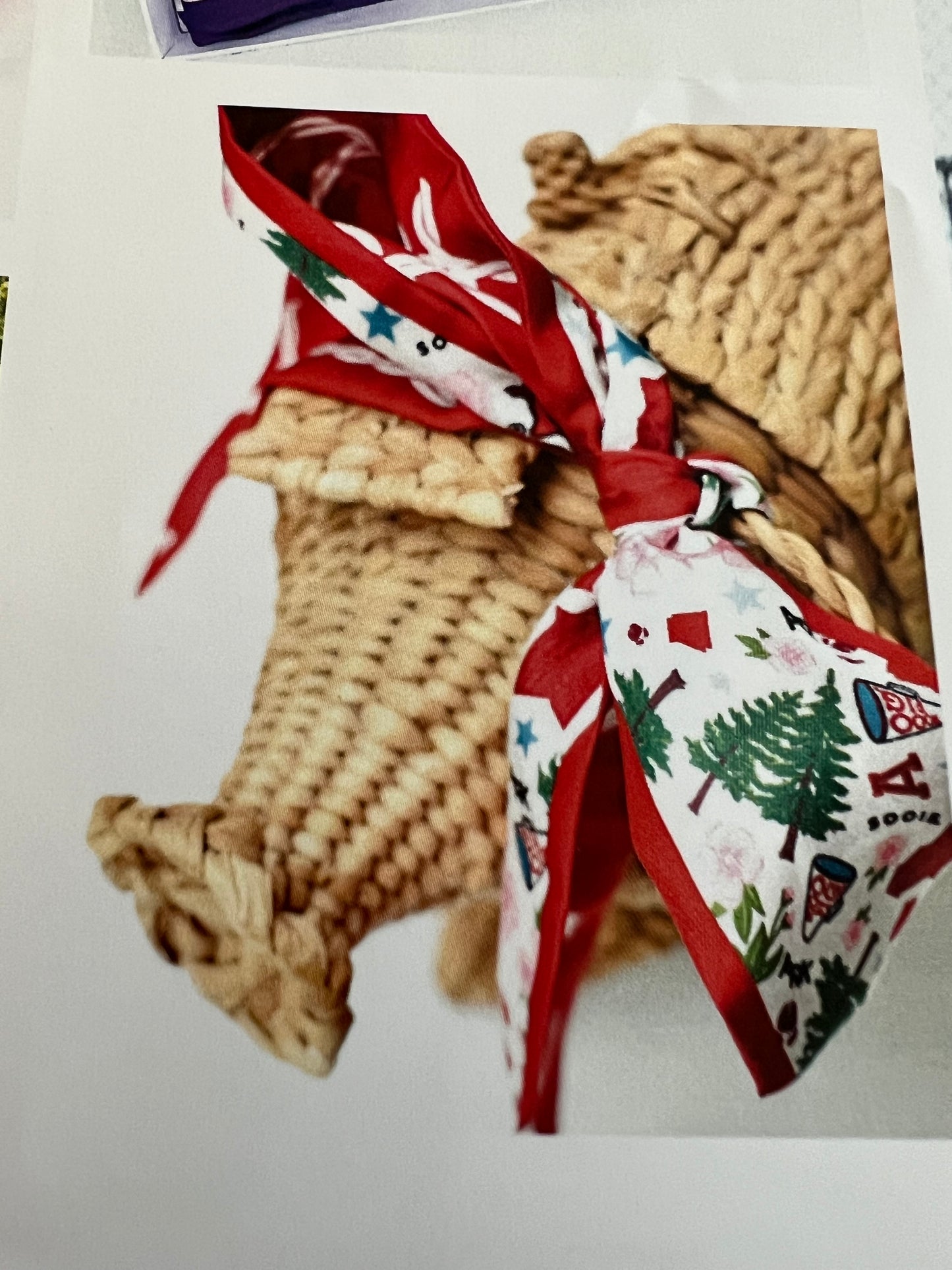 Arkansas twilly scarf